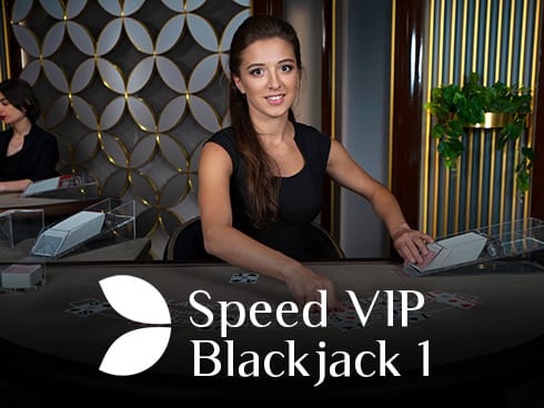 Speed VIP Blackjack 1 screenshot